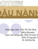 PROTEIN ĐẬU NÀNH