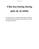 Cắm hoa hướng dương giản dị, tự nhiên