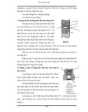 Bài giảng khoan dầu khí tập 2 part 10