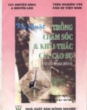 Kỹ thuật trồng cây cao su: Phần 1