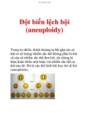 Đột biến lệch bội (aneuploidy)