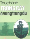 Kỹ thuật trồng rừng ở vùng trung du: Phần 1