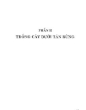 Nguồn lợi kinh tế từ trồng rừng: Phần 2