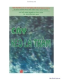 Kỹ thuật trồng cây keo lá tràm: Phần 1