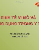 Bài giảng Kinh tế y tế: Kinh tế vi mô và ứng dụng trong y tế - Nguyễn Quỳnh Anh