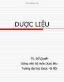 Bài giảng Dược liệu - TS. Đỗ Quyên