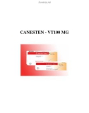 CANESTEN - VT100 MG