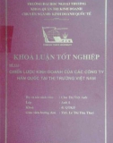 Khóa luận tốt nghiệp: Chiến lược kinh doanh của các công ty Hàn Quốc tại thị trường Việt Nam