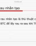 Bóc rau nhân tạo