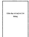 Giáo dục trí tuệ trẻ 2-6 tháng