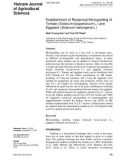 Establishment of reciprocal micrografting of tomato (Solanum lycopersicum L.) and eggplant (Solanum melongena L.)