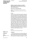 Effects of organic fertilizer and HB101 plant vitalizer on the growth and yield of rice (Oryza sativa L.)