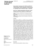 Association between theMUC4 g.243A>G polymorphism and production performance of Landrace and Yorkshire pigs in Vietnam