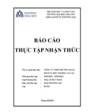 Báo cáo thực tập nhận thức: Công ty TNHH thương mại và dịch vụ siêu thị BIG C An Lạc