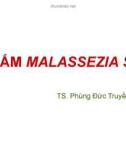 Bài giảng Vi nấm Malassezia Spp. -TS. Phùng Đức Truyền