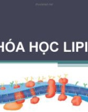 Bài giảng Hóa học lipid - Võ Hồng Trung