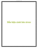 Dấu hiệu cảnh báo stress