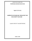 Luận án tiến sĩ Kỹ thuật môi trường: Nghiên cứu xác định đặc trưng phát thải của xe buýt tại Hà Nội