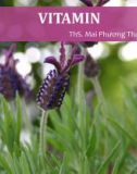 Bài giảng Vitamin - ThS. Mai Phương Thanh