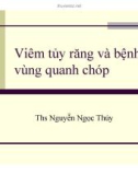 Bài giảng Viêm tủy răng và bệnh lý vùng quanh chóp - ThS. Nguyễn Ngọc Thúy