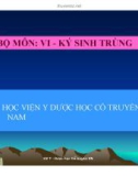 Bài giảng Vi-Kí sinh trùng: Sán dây - Học viện Y dược học cổ truyền Việt Nam