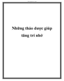 Những thảo dược giúp tăng trí nhớ