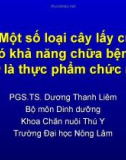 Một số loại cây lấy củ có khả năng chữa bệnh, như là thực phẩm chức năng (TS. Dương Thanh Liêm)