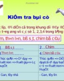 Bài giảng điện tử môn sinh học: cấu tạo của chim