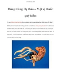 Đông trùng Hạ thảo – Một vị thuốc quý hiếm