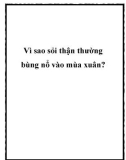 Vì sao sỏi thận thường bùng nổ vào mùa xuân?