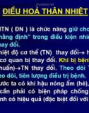 ĐIỀU HÒA THÂN NHIỆT CƠ THỂ