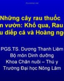 Những cây rau thuốc ở sân vườn: Khổ qua, Rau má, Rau diếp cá và Hoàng ngọc (TS. Dương Thanh Liêm)