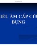 Siêu âm cấp cứu bụng