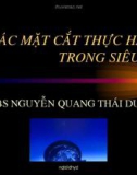 Các mặt cắt thực hành trong siêu âm