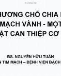 Bài giảng Tổn thương chỗ chia nhánh động mạch vành - một số kỹ thuật can thiệp cơ bản - BS. Nguyễn Hữu Tuấn