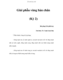 Giải phẫu vùng bàn chân (Kỳ 2)