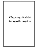 Công dụng chữa bệnh bất ngờ đến từ quả na