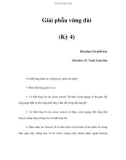 Giải phẫu vùng đùi (Kỳ 4)