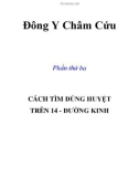 Đông Y Châm Cứu - Cách tìm huyệt trên 14 đường kinh