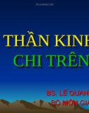 THẦN KINH CHI TRÊN