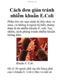 Cách đơn giản tránh nhiễm khuẩn E.Coli