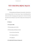 VẾT THƯƠNG ĐỘNG MẠCH