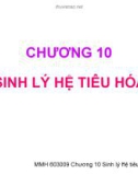 Chương 10 : Sinh lý hệ tiêu hóa