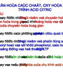 OXY HÓA SINH HỌC CHU TRÌNH ACID CITRIC (KREBS)