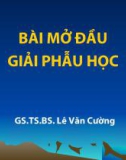 Bài giảng Giải phẫu học: Bài mở đầu giải phẫu học - GS.TS.BS. lê Văn Cường