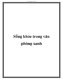 Sống khỏe trong văn phòng xanh