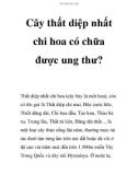 Cây thất diệp nhất chi hoa có chữa được ung thư?