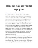 Hàng rào máu não và phát hiện lý thú