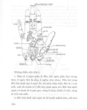 Y tướng học truyền thống phương đông part 9