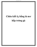 Chữa kiết lỵ bằng lá mơ hấp trứng gà